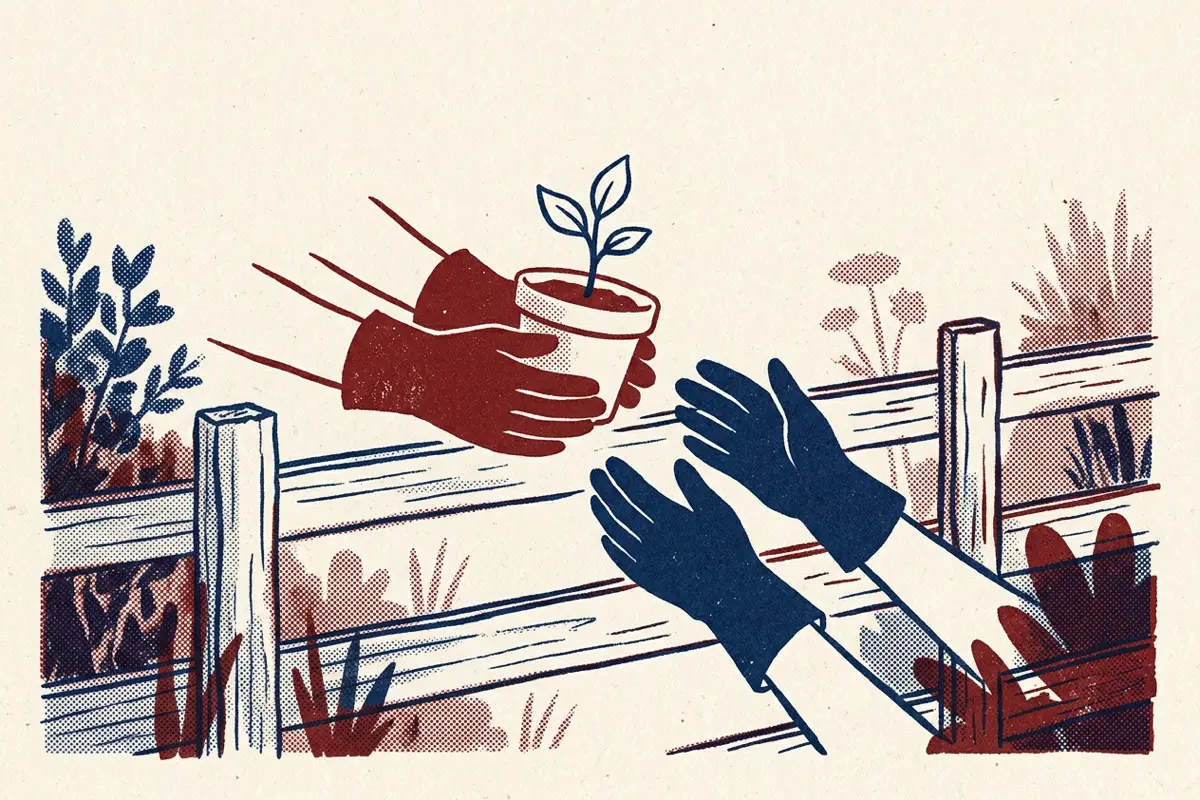 A gloved hand passing a potted seedling across a low garden fence to another gloved hand.
